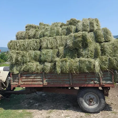 Kuca Za Odmor Lana * Kozljak